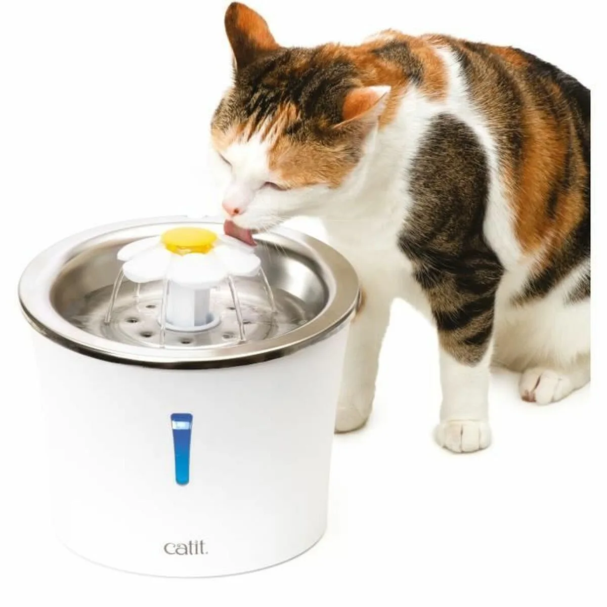 Fontaine pour animaux de compagnie catit blanc plastique acier inoxydable s7101597841. L'ADN de Diaytar : un mélange éclectique et raffiné de produits qui parle aussi bien aux geeks qu'aux esthètes