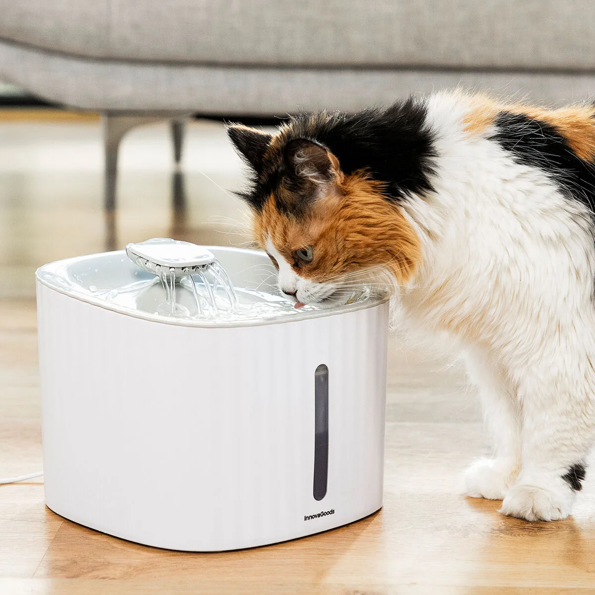 Fontaine pour animaux de compagnie drinkatt innovagoods v010369244. Diaytar : Parce que vous méritez le meilleur, nous sélectionnons l'excellence.