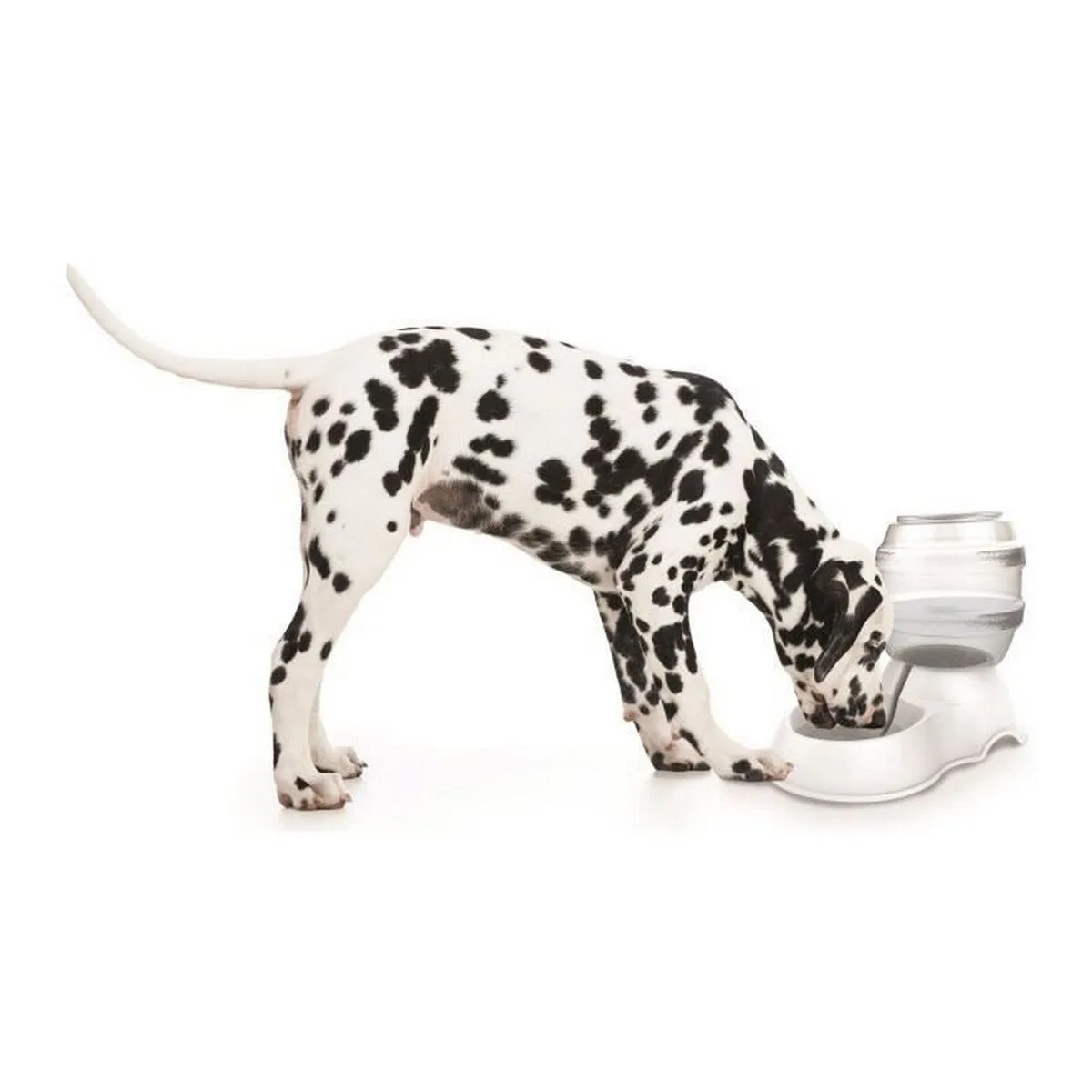 Fontaine pour animaux de compagnie mpets blanc plastique 3 5 l s714023883. Diaytar a fait de la variété son arme secrète : une offre généraliste si vaste que vous y trouverez forcément l'inimaginable