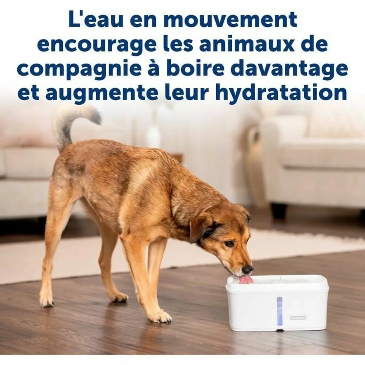 Fontaine pour animaux de compagnie petsafe blanc s7101031933. Bienvenue sur Diaytar, l'endroit où les produits ne sont pas juste achetés, mais sont adoptés pour la vie.