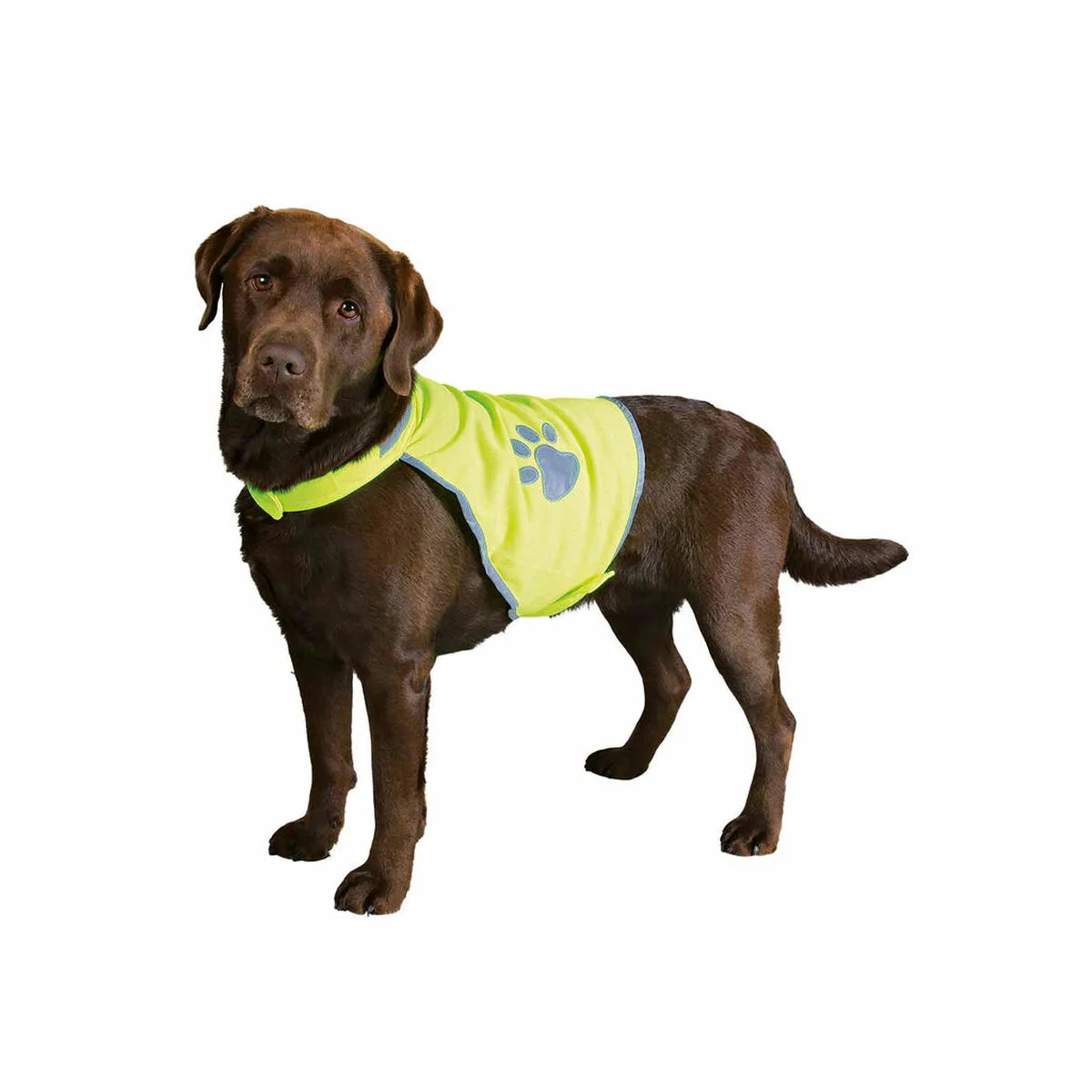 Gilet pour chien trixie jaune m060021936. Révélez votre style avec la collection capsule Diaytar, limitée et exclusive.
