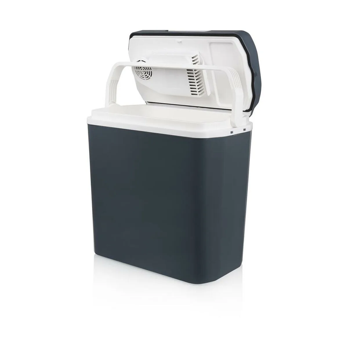 Glaciere tristar kb7520 20 l anthracite plastique s045847243. Diaytar, c'est le cocktail parfait entre l'esprit start-up et l'expertise d'un grand commerçant généraliste.