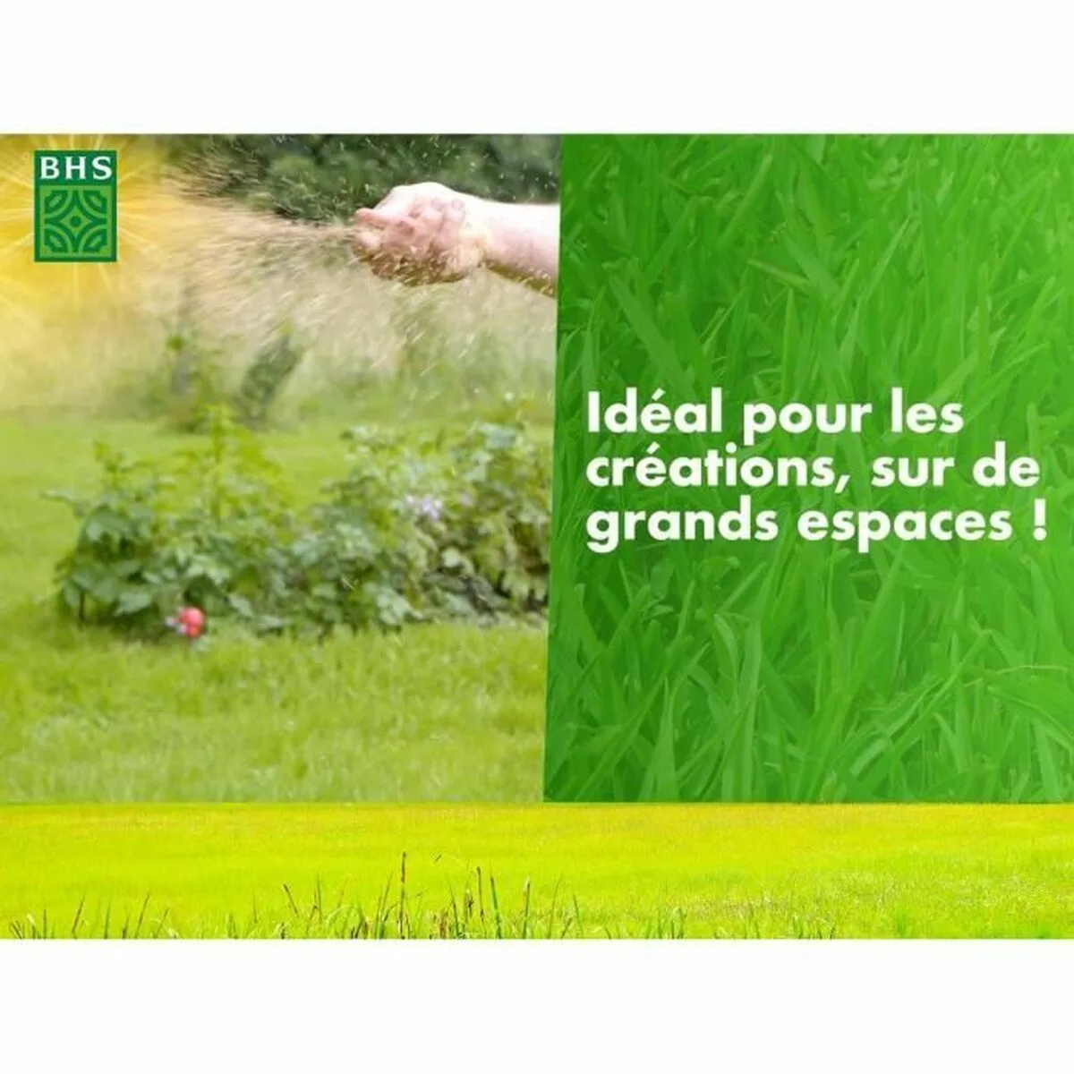 Graines bhs 10 kg s7101504780. Nous avons créé Diaytar pour être le point de repère dans le paysage souvent confuse du e-commerce généraliste.