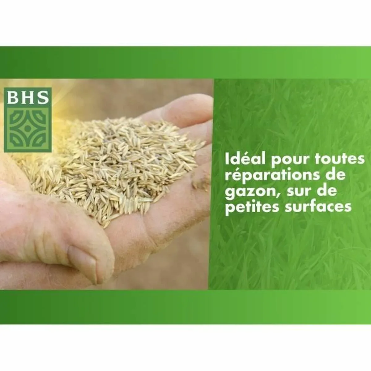 Graines bhs 500 g s7101471630. Nous avons créé Diaytar pour être le point de repère dans le paysage souvent confuse du e-commerce généraliste.