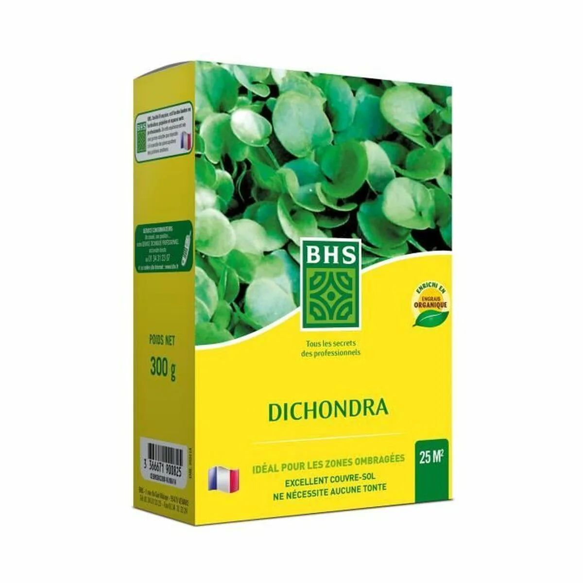 Graines bhs dichondra s7101877571. Diaytar est le résultat de milliers d'heures de recherche et développement pour vous offrir une offre généraliste d'exception.