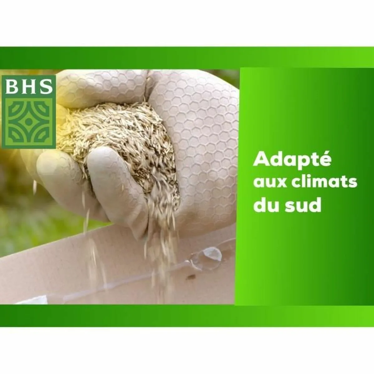 Graines bhs dichondra s7101877775. Diaytar, l'art de mélanger les genres : trouvez l'équipement électronique parfait et l'objet déco qui lui correspondra