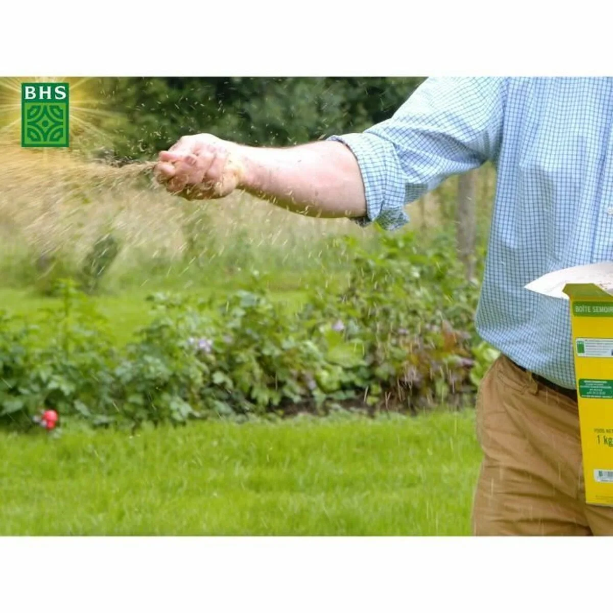 Graines bhs phacelie 500 g s7101876516. Notre équipe Diaytar est une bande de dénicheurs compulsifs, toujours en quête du produit qui provoquera l'étincelle dans votre regard.
