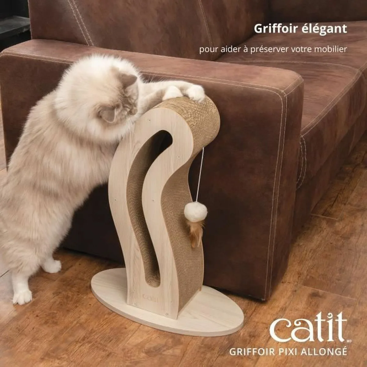 Grattoir pour chats catit s7101597283. Diaytar, c'est l'alliance inattendue entre la rigueur suisse et la créativité italienne, appliquée au produit généraliste.