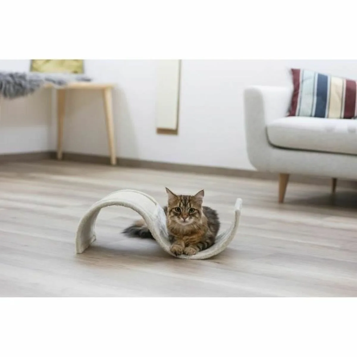 Grattoir pour chats kerbl s7101458274. Préparez-vous à être impressionné. Diaytar lève le voile sur une sélection de produits qui défie toute concurrence.