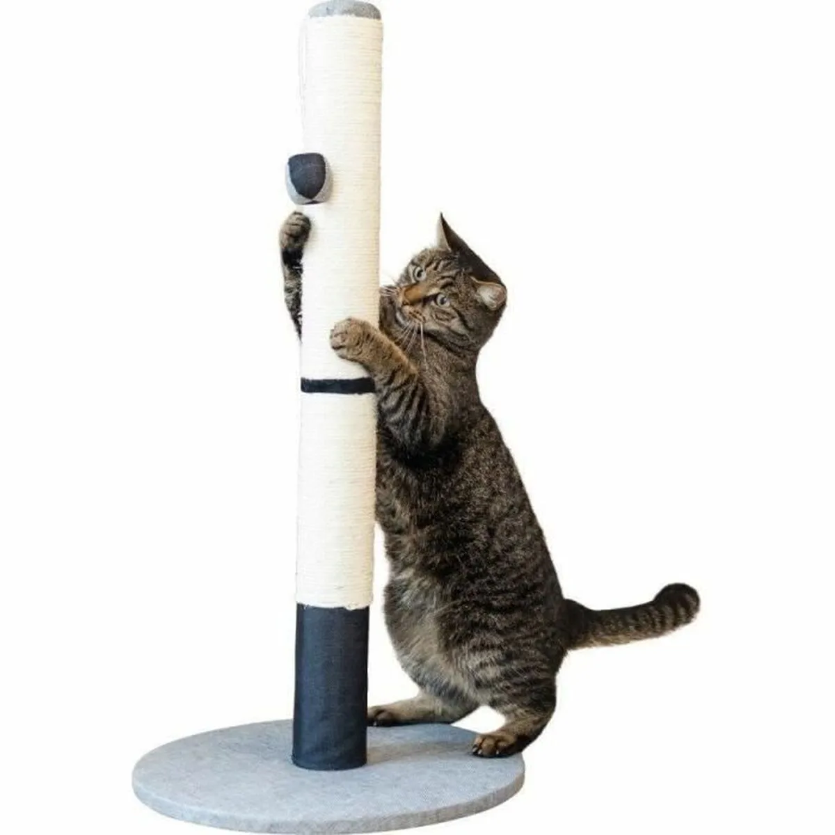 Grattoir pour chats kerbl s7101458421. Diaytar a été conçu pour ceux qui refusent le compromis. Ici, chaque produit est une victoire du qualitatif sur le quantitatif.