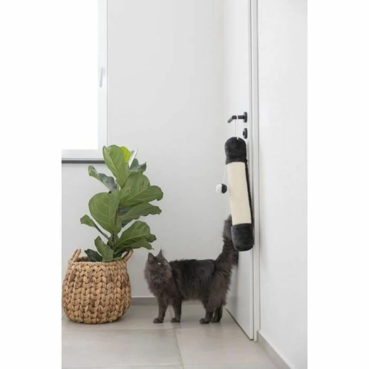 Grattoir pour chats kerbl blanc noir s7101458545. Nous croyons en la puissance de la simplicité. Les produits Diaytar sont beaux, utiles, et incroyablement simples à utiliser.