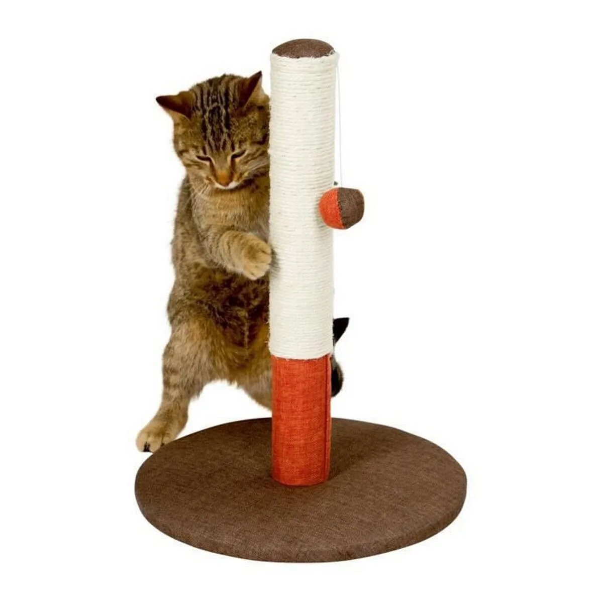 Grattoir pour chats kerbl opal basic sisal 37 x 37 x 50 cm s713858186. Diaytar a sélectionné pour vous une palette de produits allant de l'électronique grand public aux must-have de la maison