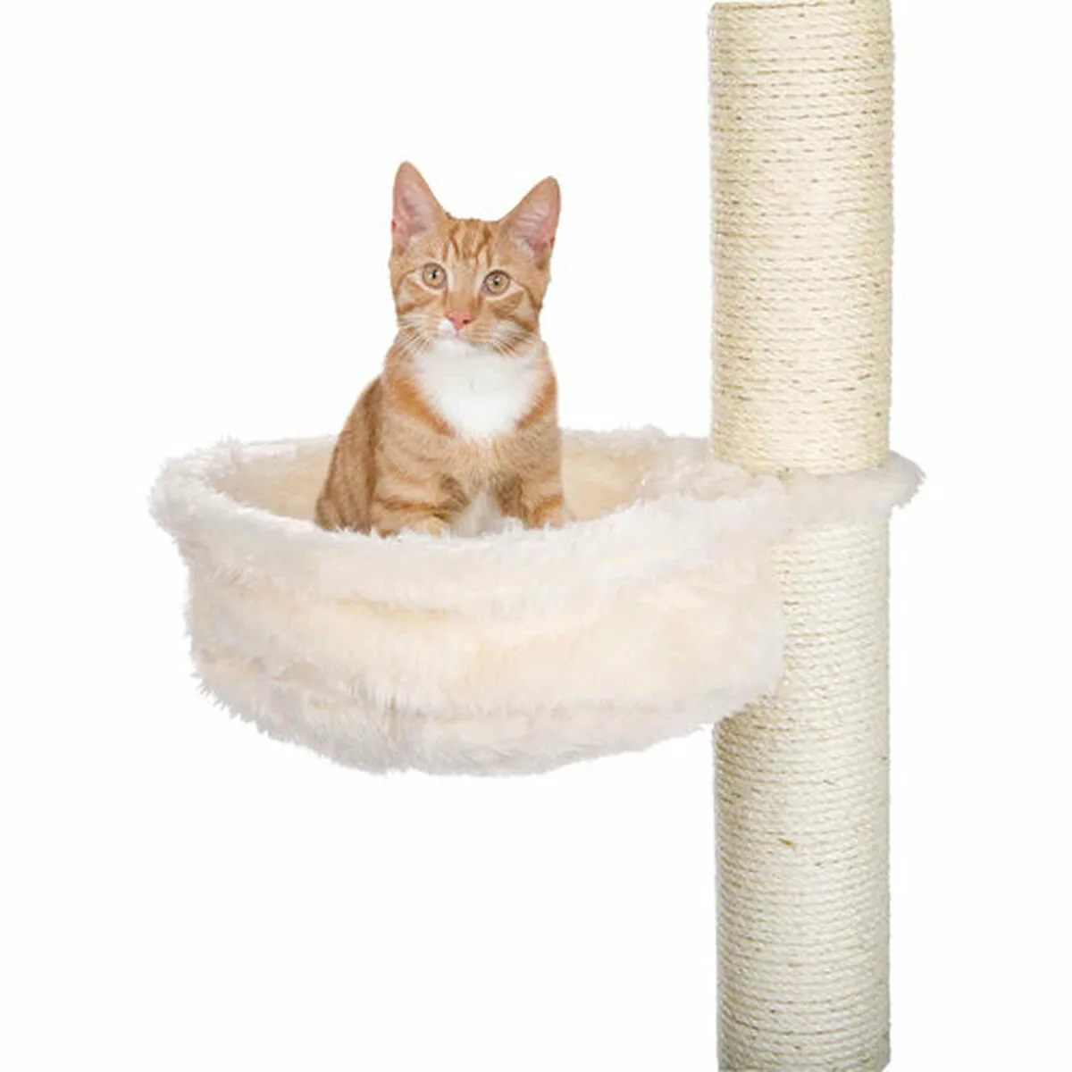 Grattoir pour chats trixie m060144457. Diaytar vous propose une sélection pointue de produits électroniques innovants et d'articles maison qui transforment votre quotidien