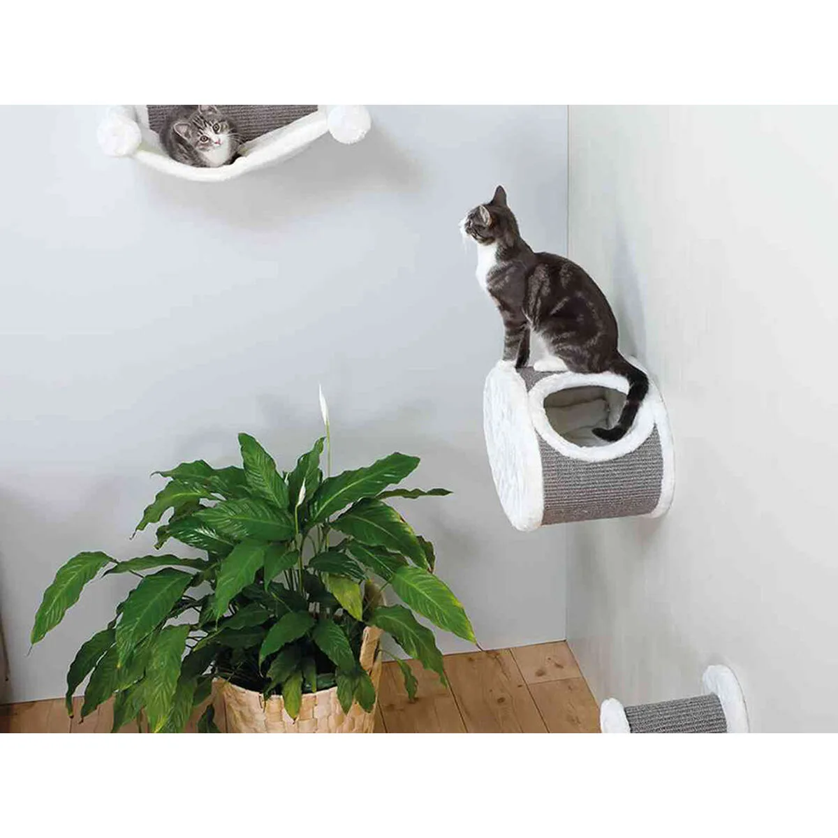 Grattoir pour chats trixie blanc gris o 18 cm m060142016. Explorez la galerie virtuelle Diaytar et laissez-vous séduire par nos produits généraux tendance et nos inventions électroniques exclusives