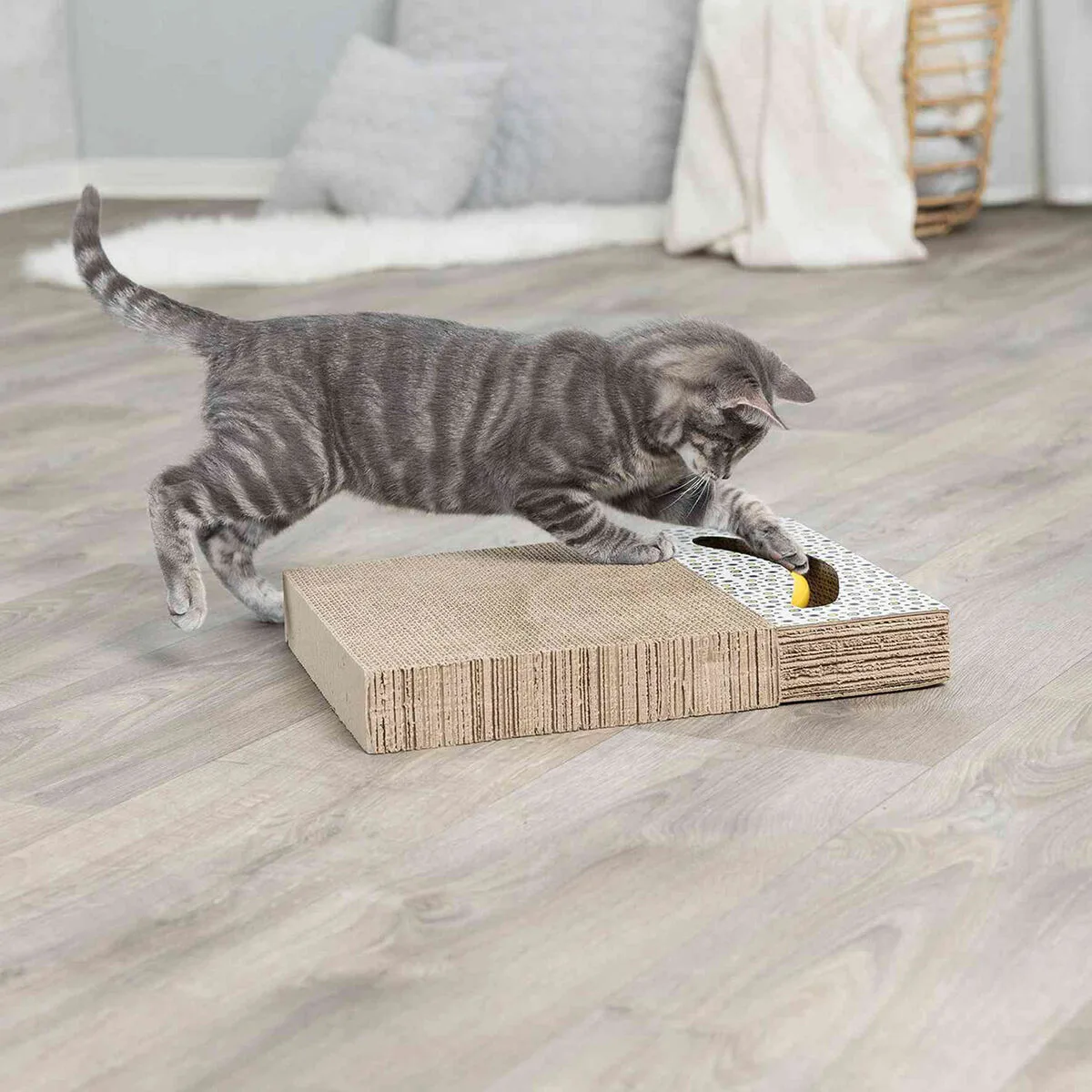 Grattoir pour chats trixie blanc plastique 38 x 30 cm m060152776. Explorez sans limite l'offre Diaytar : des milliers de produits pour satisfaire votre soif de nouveauté et de qualité