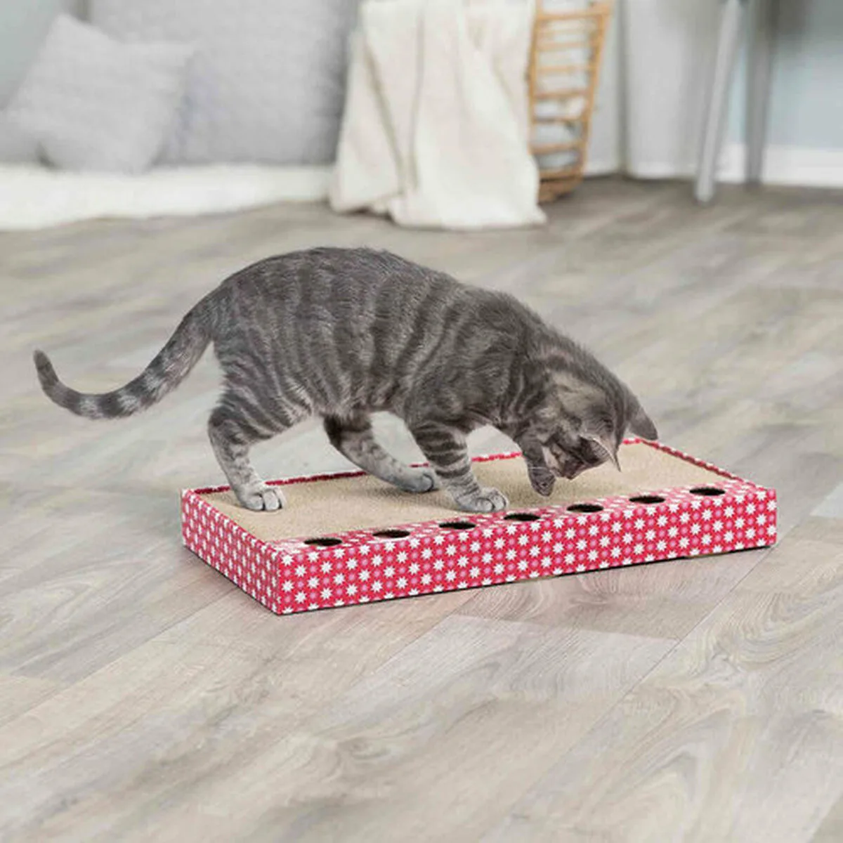 Grattoir pour chats trixie rose 48 x 25 cm m060152684. Diaytar, c'est le carnet d'adresses secret des influenceurs lifestyle. Découvrez les produits qu'ils utilisent vraiment.