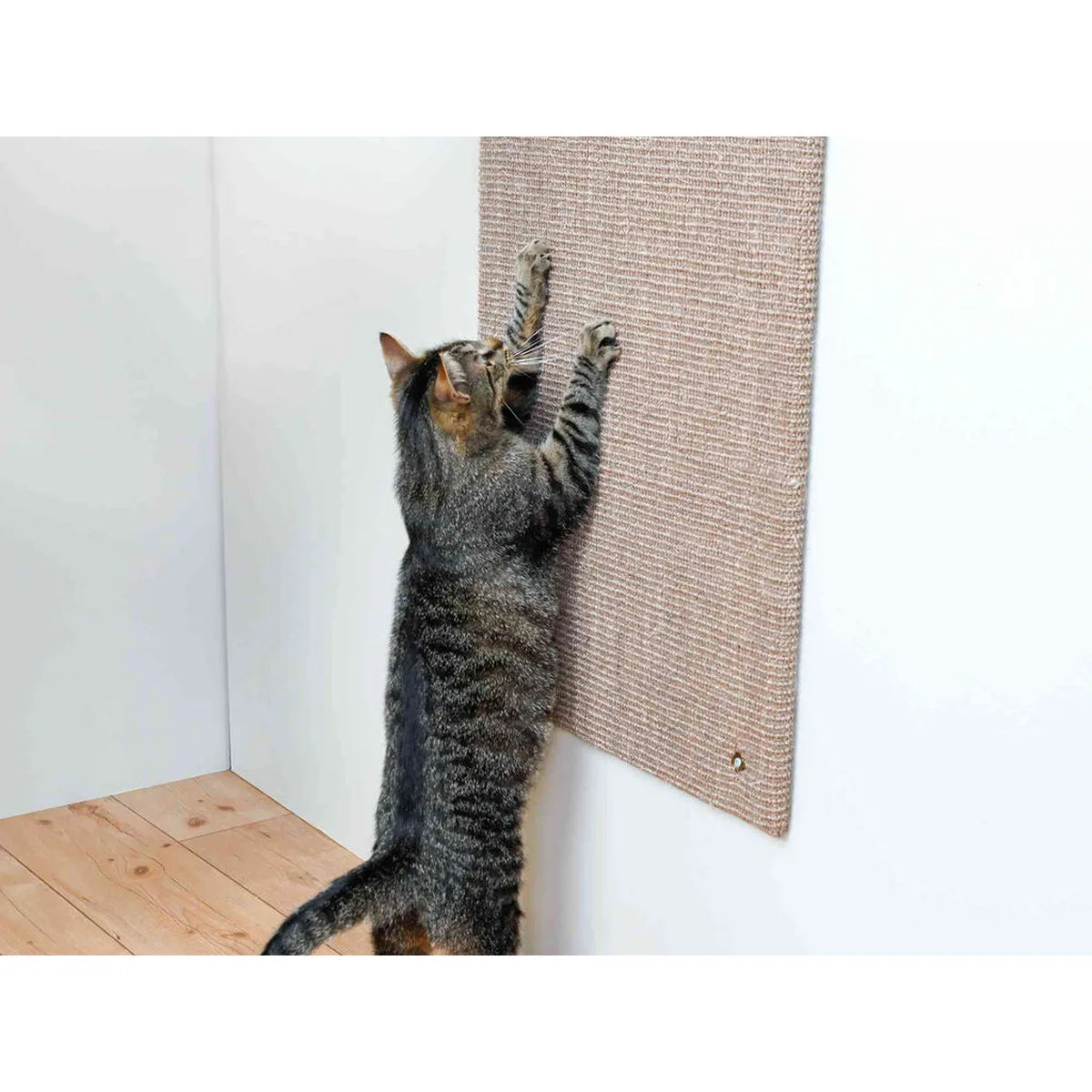 Grattoir pour chats xxl trixie marron m060150733. Nos stylistes Diaytar dénichent pour vous les pépites de la saison.