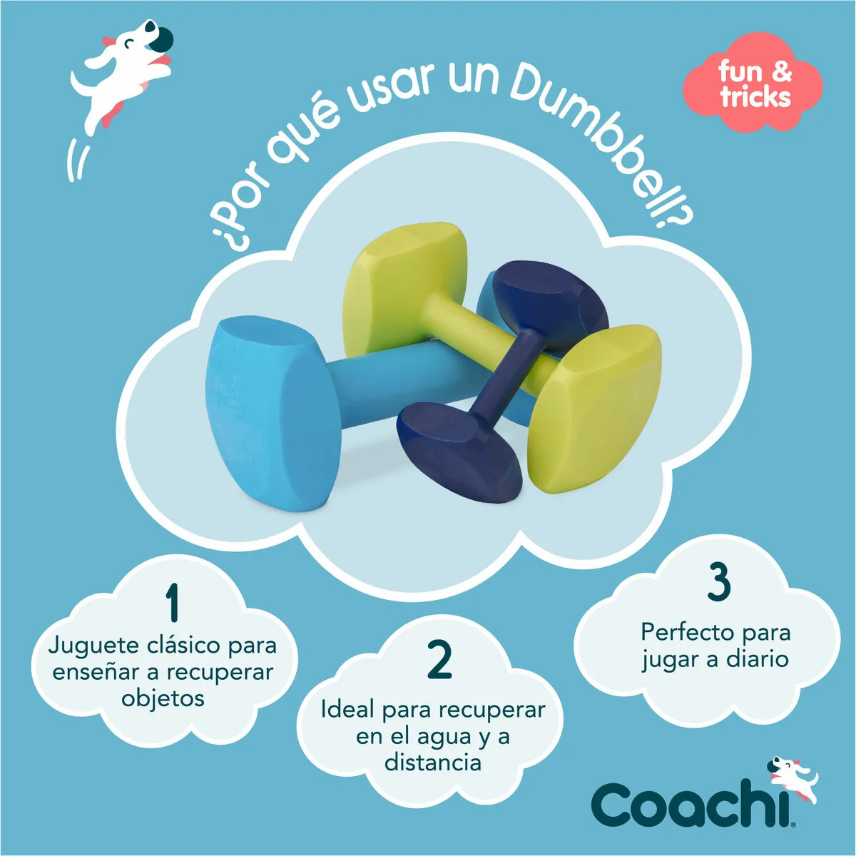 Haltere coachi training dumbbell bleu s610383831. Nous avons bâti Diaytar sur un principe simple : offrir le meilleur des produits généraux et électroniques sans élitisme