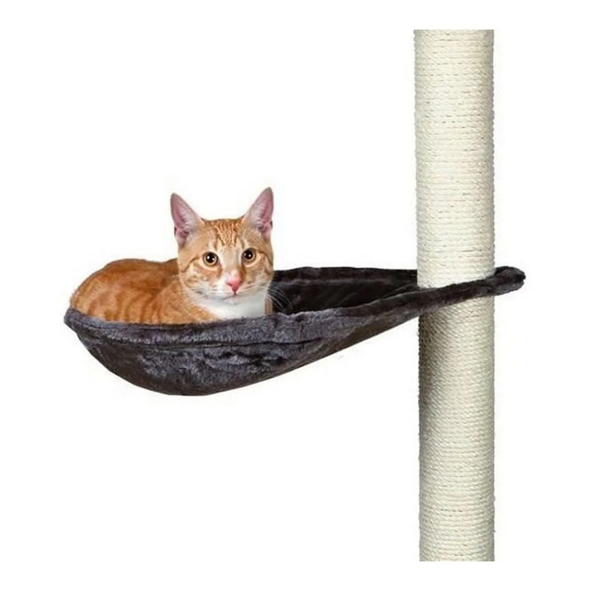 Hamac suspendu pour chats trixie hammock gris metal o 40 cm s713860662. Diaytar défend une idée forte : le shopping en ligne doit être une aventure qui éveille la curiosité et comble les besoins