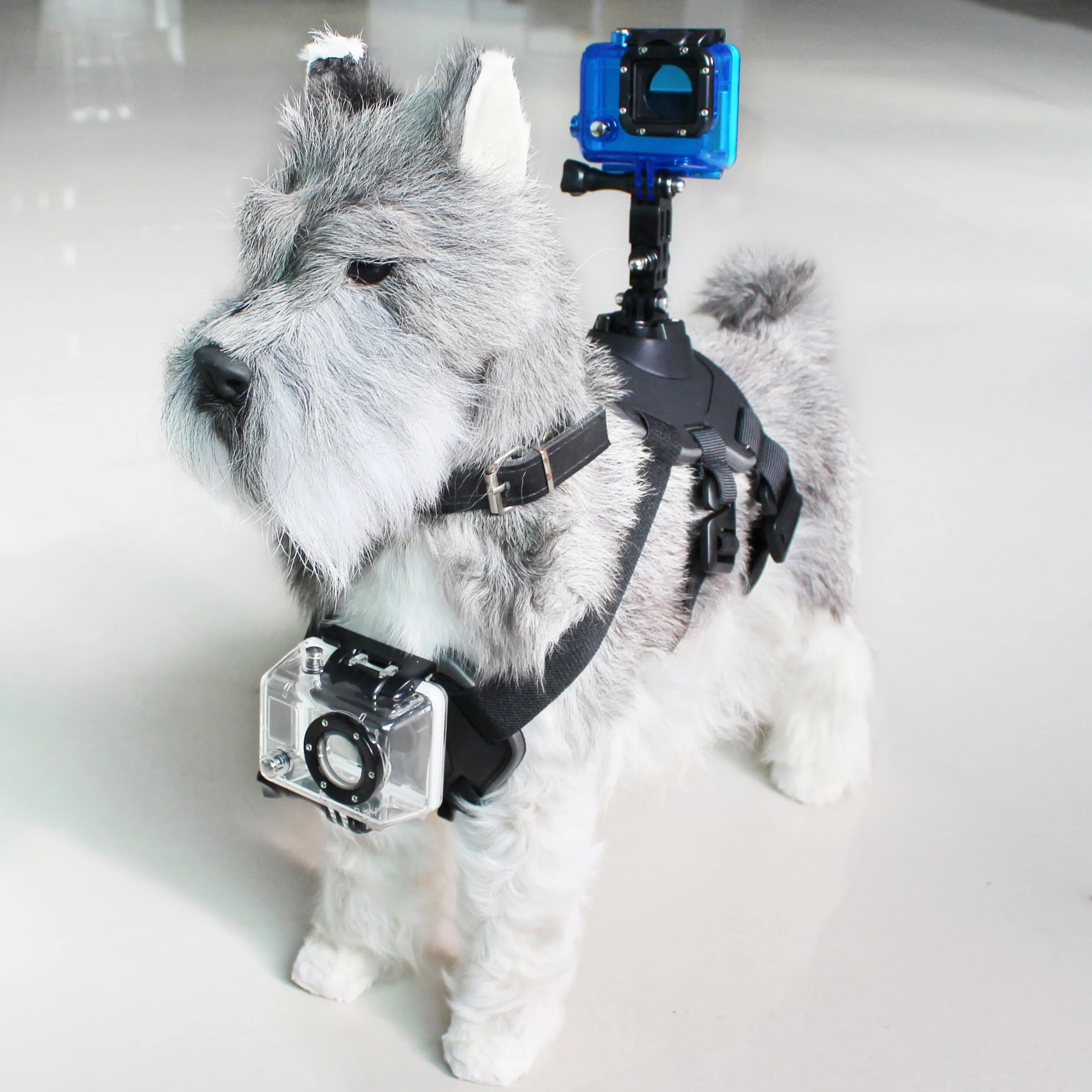 Harnais pour animaux domestiques avec support pour camera de pport ksix noir s190247260. Diaytar, la boutique en ligne qui pense à tout : des gadgets électroniques les plus futés aux objets maison les plus design