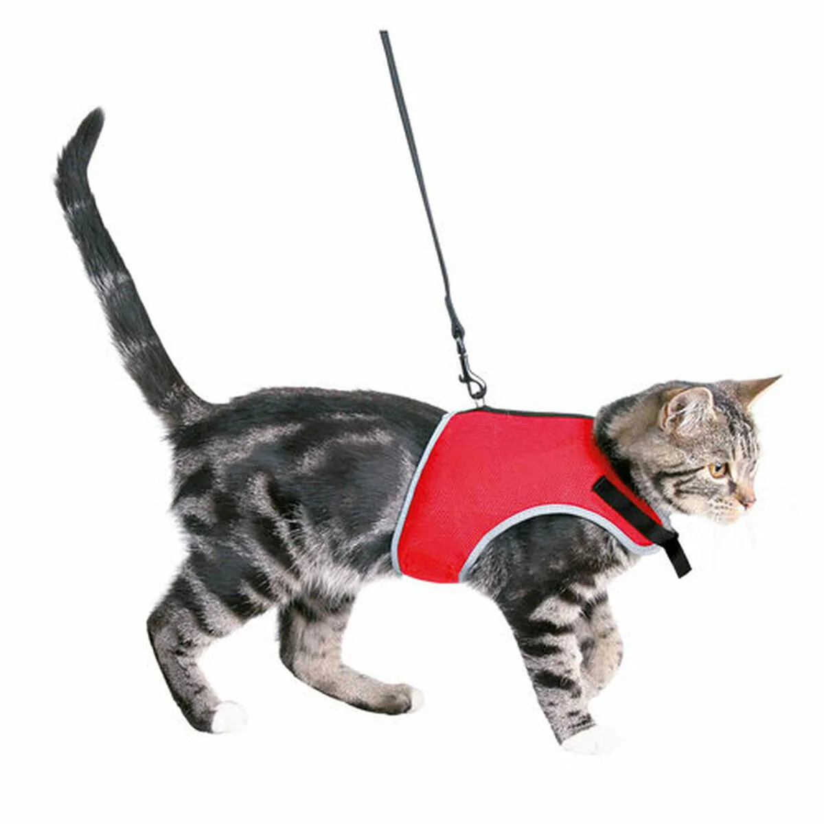 Harnais pour animaux domestiques trixie m060128940. Diaytar, c'est l'alliance inattendue entre la rigueur suisse et la créativité italienne, appliquée au produit généraliste.