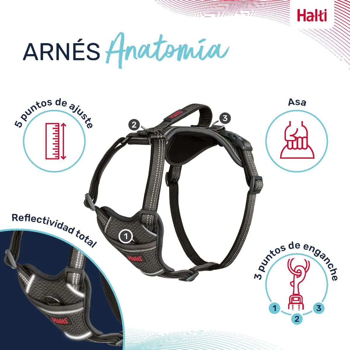 Harnais pour chien company of animals gris s 28 42 cm s610495152. Pour les esprits curieux et exigeants, Diaytar est la source intarissable de produits rares et ingénieux.