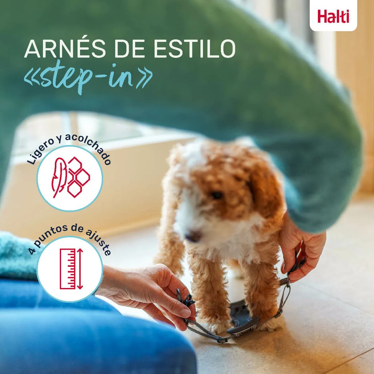 Harnais pour chien company of animals gris xs 28 44 cm s610496134. Diaytar, c'est la preuve que le génie réside dans les détails. Chaque produit a été scruté, pesé, et approuvé.