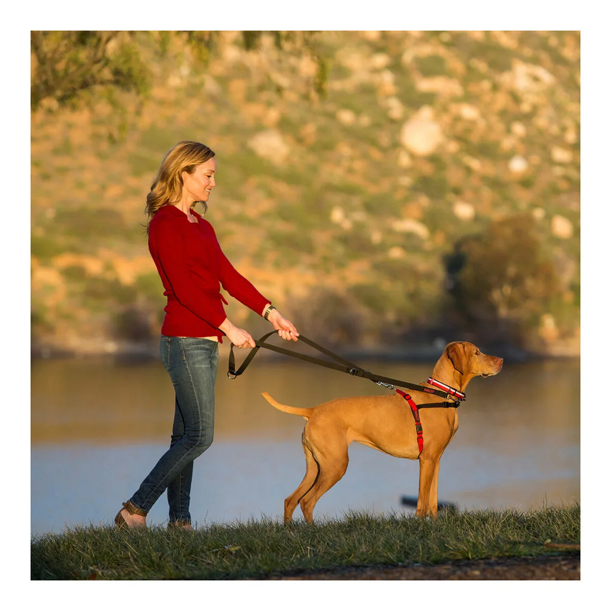 Harnais pour chien company of animals halti noir rouge l 80 120 cm s610360951. Diaytar a fait le pari de la transparence : nous vous disons tout sur l'origine et la conception de nos produits.