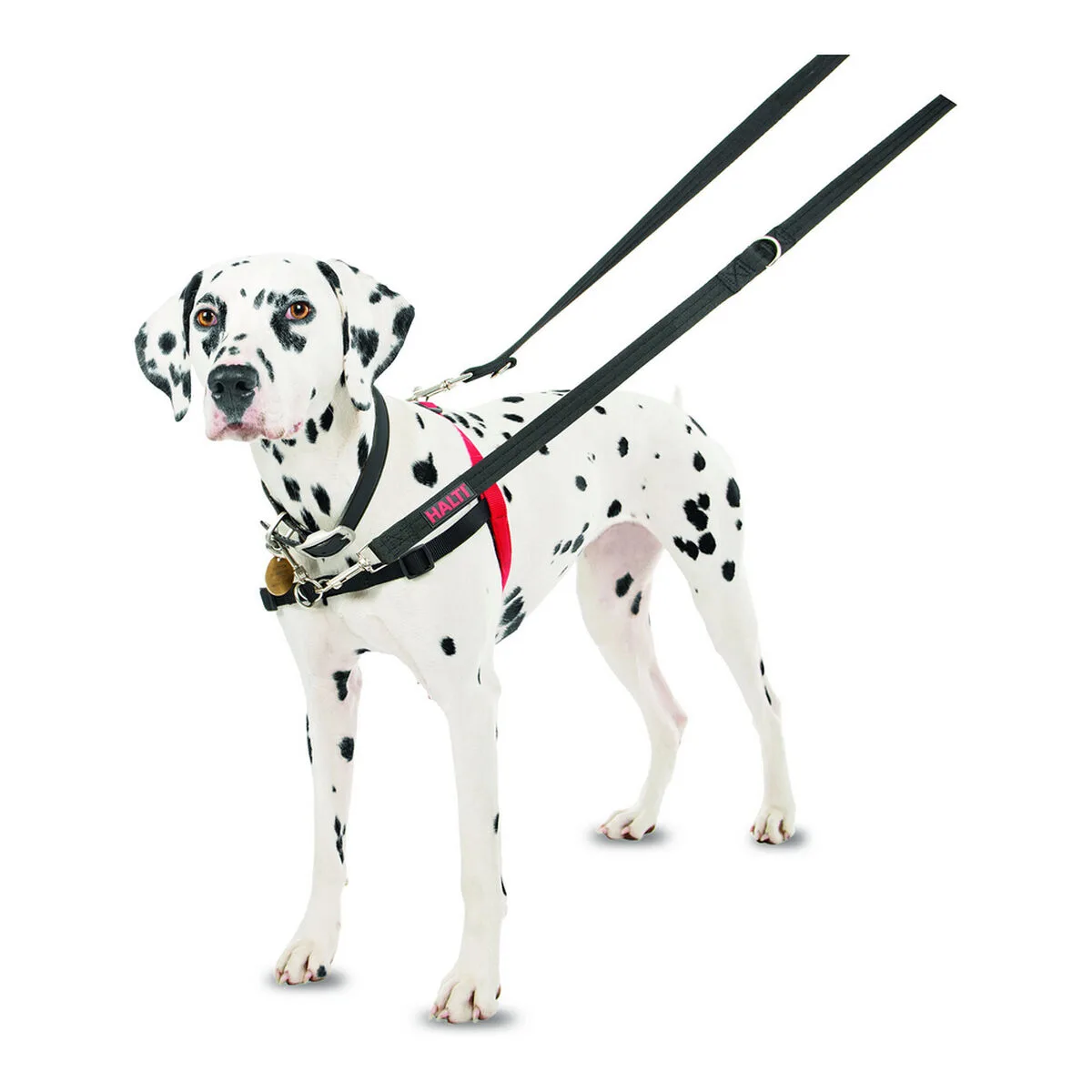 Harnais pour chien company of animals halti noir rouge taille m 58 86 cm s610360846. Diaytar est le résultat de milliers d'heures de recherche et développement pour vous offrir une offre généraliste d'exception.