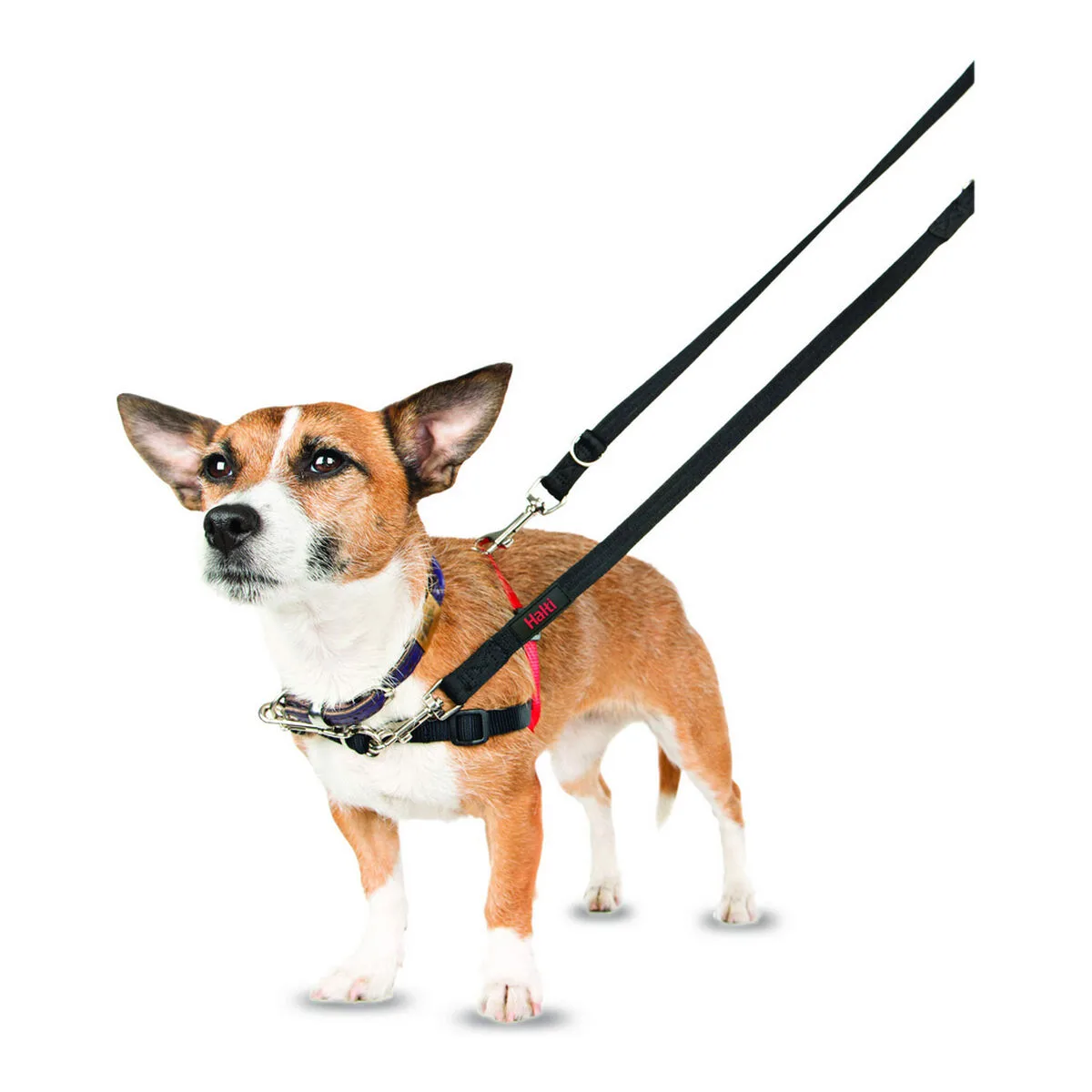 Harnais pour chien company of animals halti noir rouge taille s 36 64 cm s610360246. Préparez-vous à être impressionné. Diaytar lève le voile sur une sélection de produits qui défie toute concurrence.