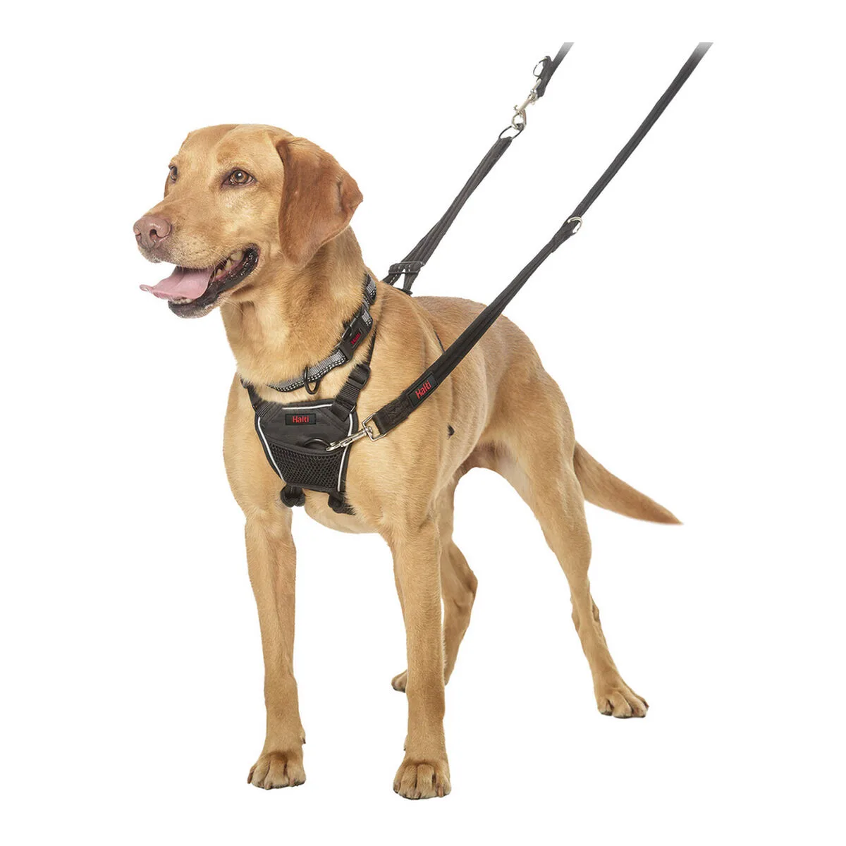 Harnais pour chien company of animals halti taille m 34 56 cm s610361148. Diaytar, le compagnon idéal de votre vie connectée et stylée, à travers une offre généraliste sans équivalent
