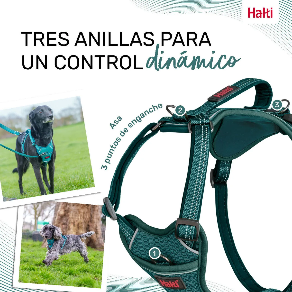 Harnais pour chien company of animals turquoise s 28 42 cm s610494122. Nous sommes les archéologues du produit parfait. Diaytar exhume pour vous les trésors cachés du marché.