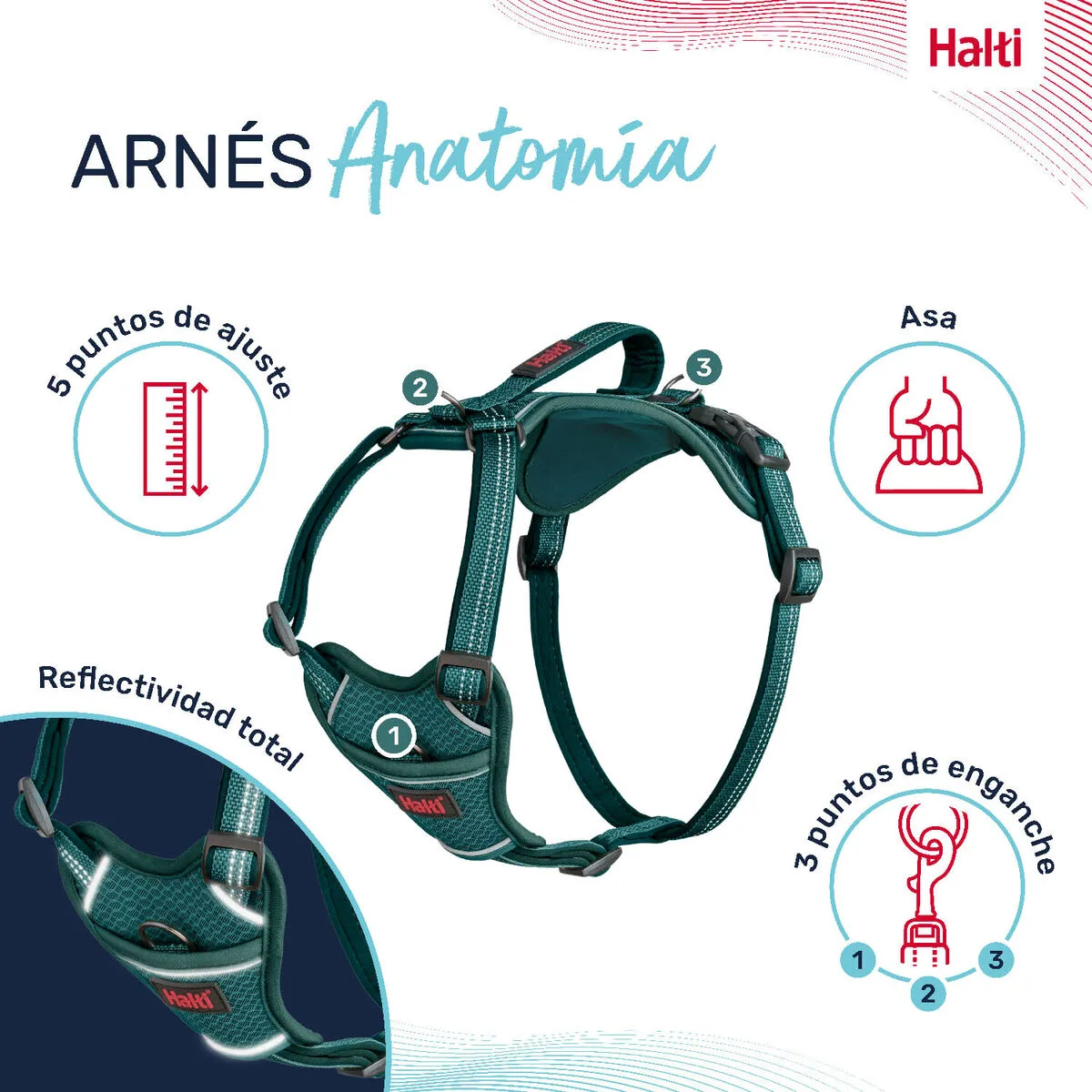 Harnais pour chien company of animals turquoise xs 20 32 cm s610494093. Découvrez l'univers Diaytar : une boutique en ligne généraliste qui marque style, qualité et originalité dans chaque produit