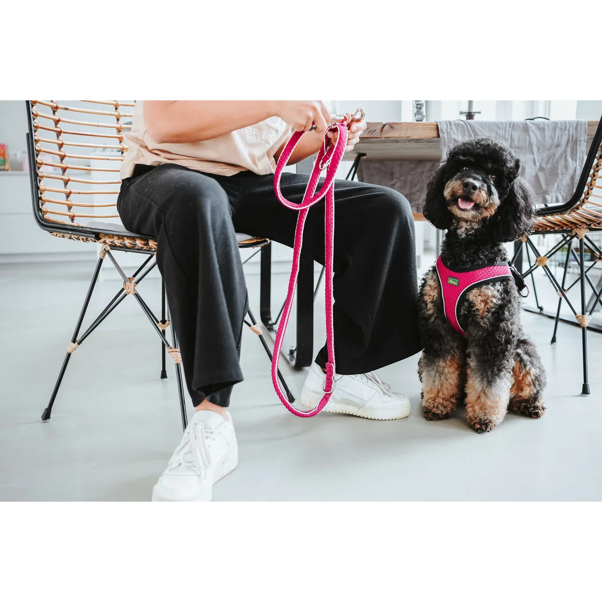 Harnais pour chien hunter comfort fuchsia xs 35 37 cm s610456514. Diaytar, c'est le point de départ de toutes vos histoires. Quel produit allez-vous choisir pour écrire la suite ?
