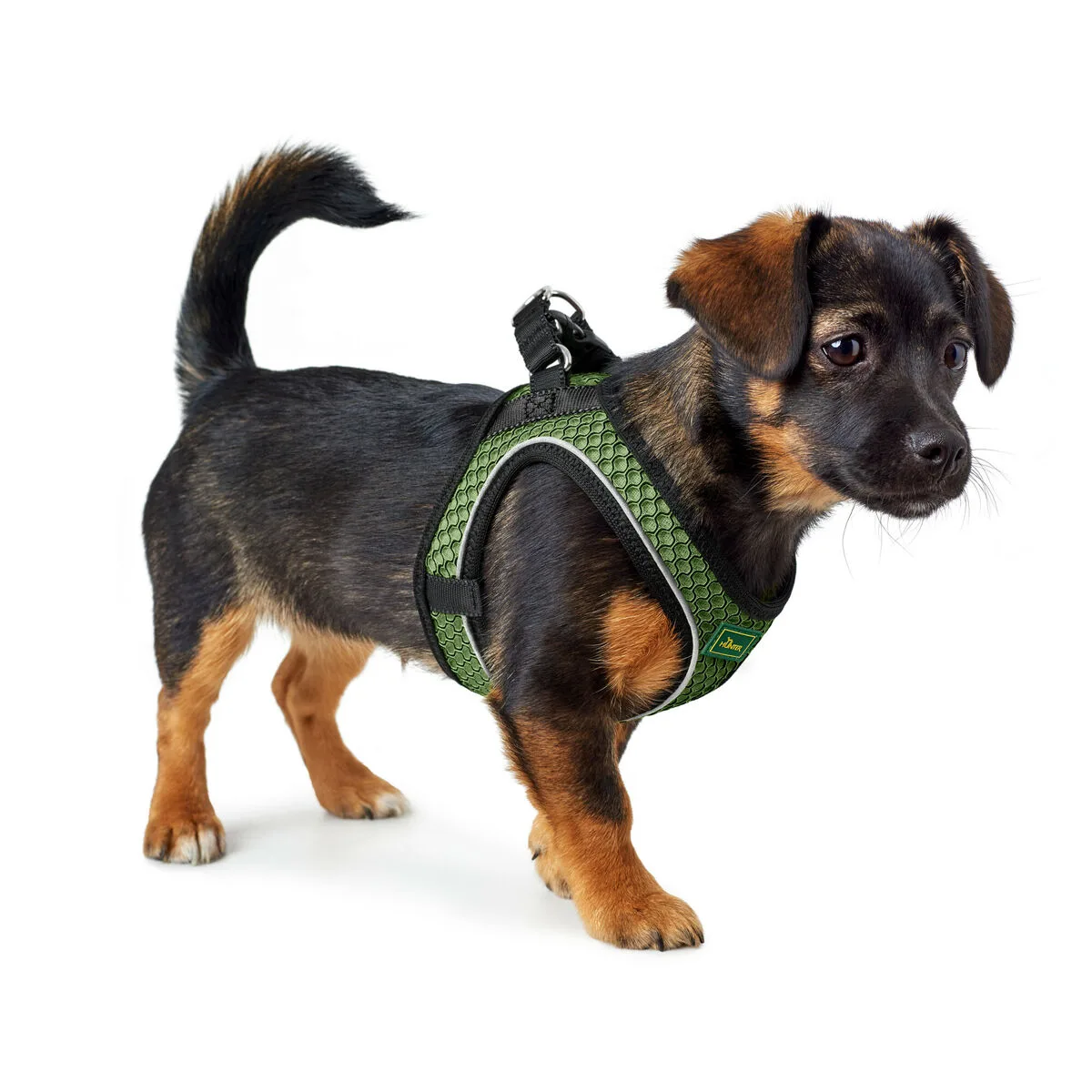 Harnais pour chien hunter comfort rose xxs 26 30 cm s610461643. Bienvenue sur Diaytar, où le shopping généraliste devient une chasse au trésor pour produits tendance et innovants