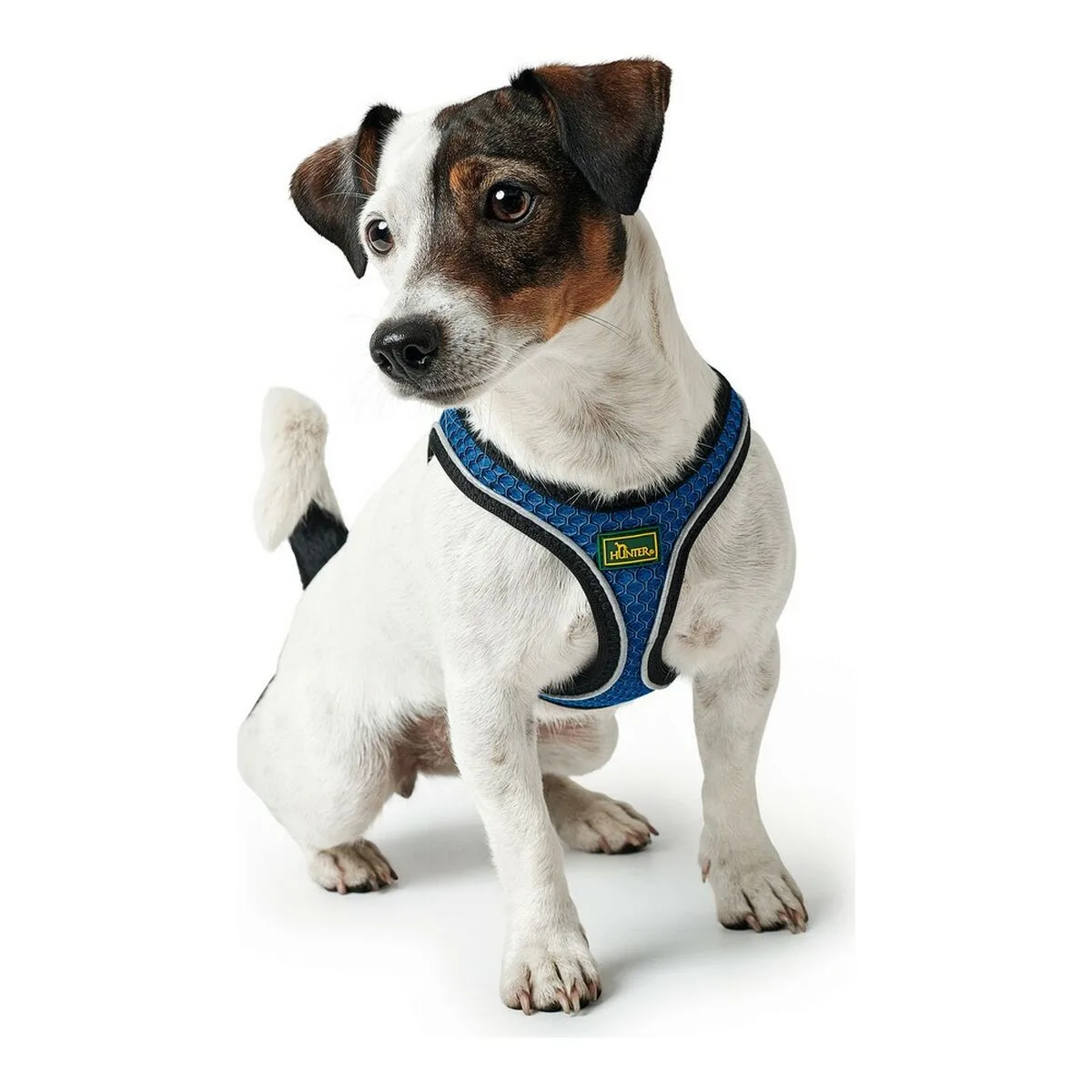 Harnais pour chien hunter hilo comfort bleu taille s 42 48 cm s610369582. Diaytar vous offre un accès privilégié à une sélection de produits qui font buzz, qui innovent et qui embellissent la vie
