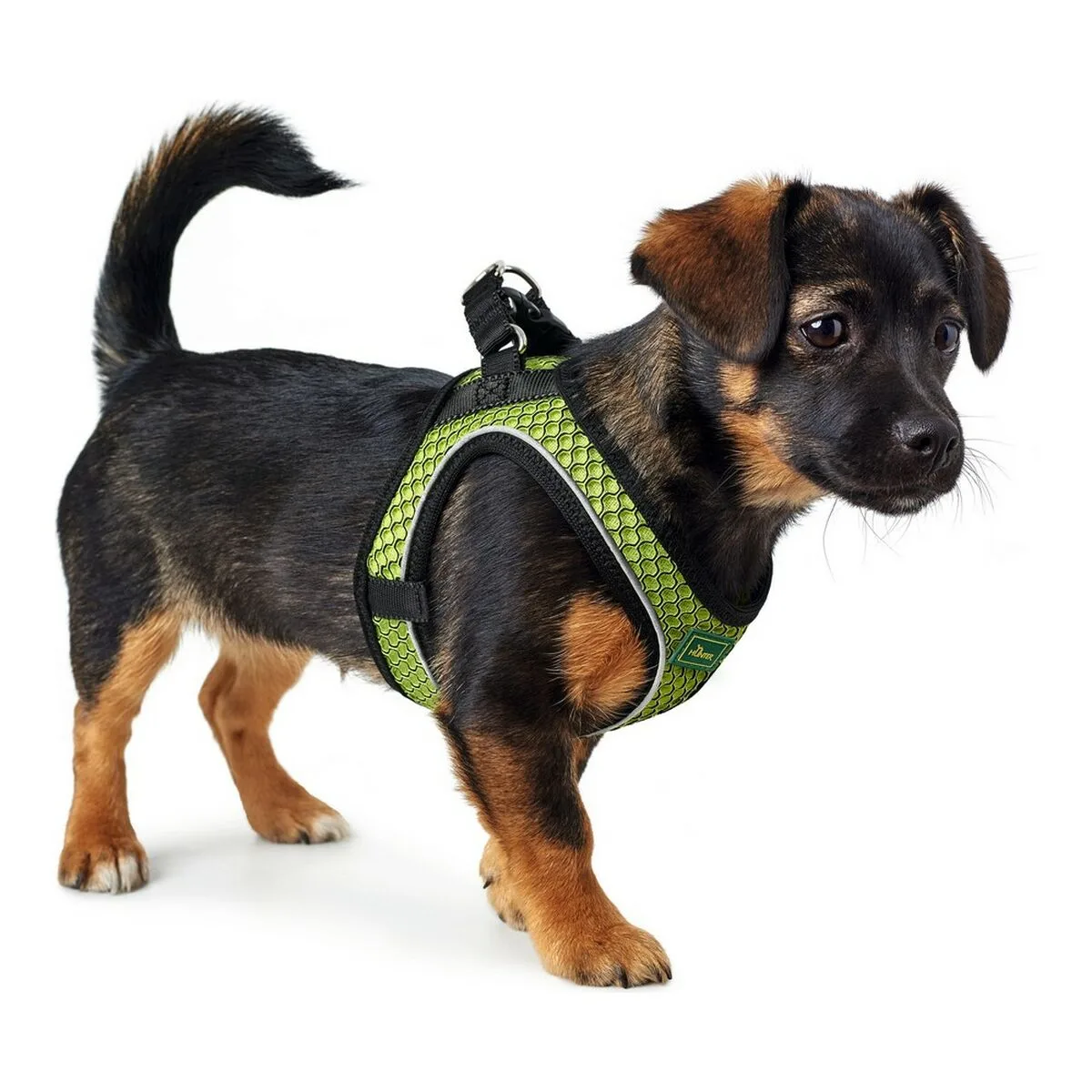Harnais pour chien hunter hilo comfort citron s m 48 55 cm s610365454. Diaytar a foi en une idée simple : les meilleurs produits, qu'ils soient électroniques ou généraux, embellissent le quotidien