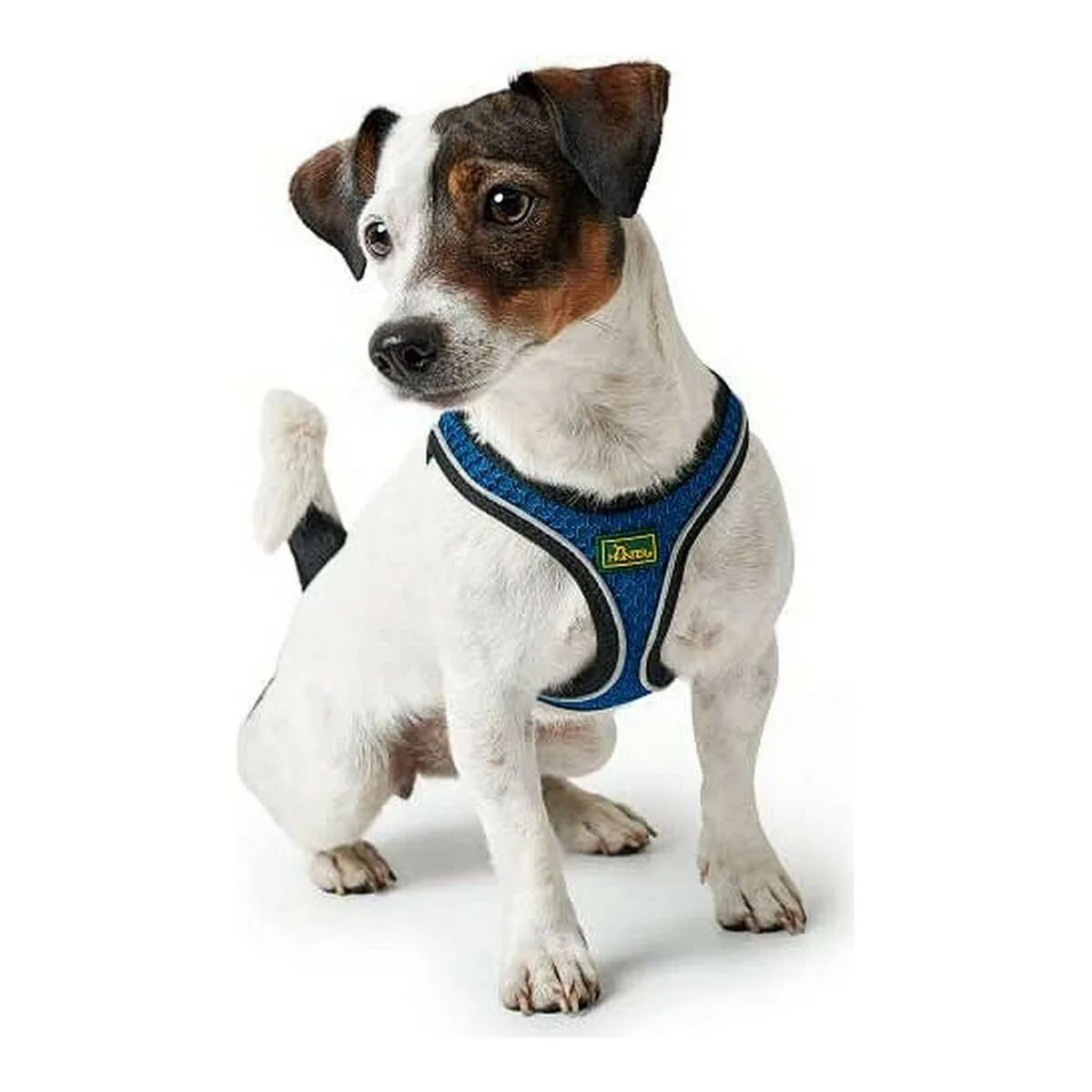 Harnais pour chien hunter hilo comfort m bleu 55 60 cm s610369719. Diaytar, c'est la promesse tenue d'un e-commerce où l'émerveillement devant un produit simple est encore possible.