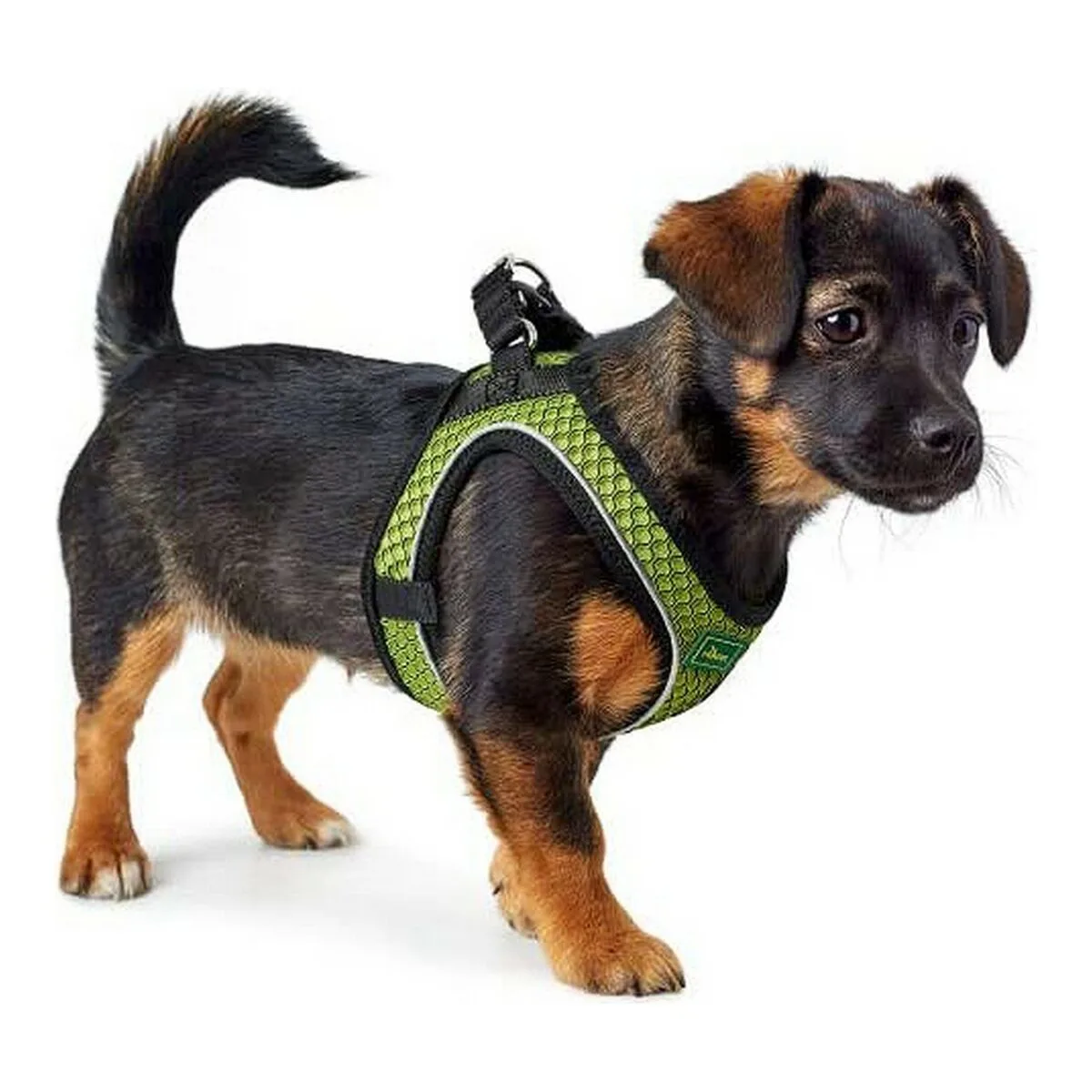 Harnais pour chien hunter hilo comfort taille s citron 42 48 cm s610365359. Diaytar, c'est l'assurance de découvrir des produits que vous ne trouverez nulle part ailleurs, tous domaines confondus