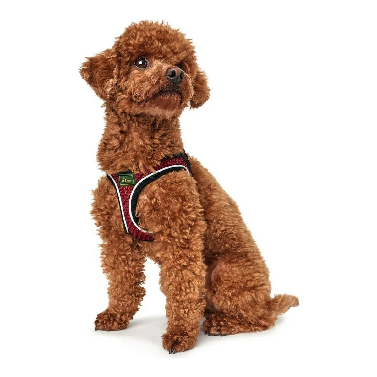 Harnais pour chien hunter hilo comfort xs s rouge 37 42 cm s610364489. L'expérience Diaytar : une interface fluide pour découvrir une multitude de produits alignés avec les tendances actuelles
