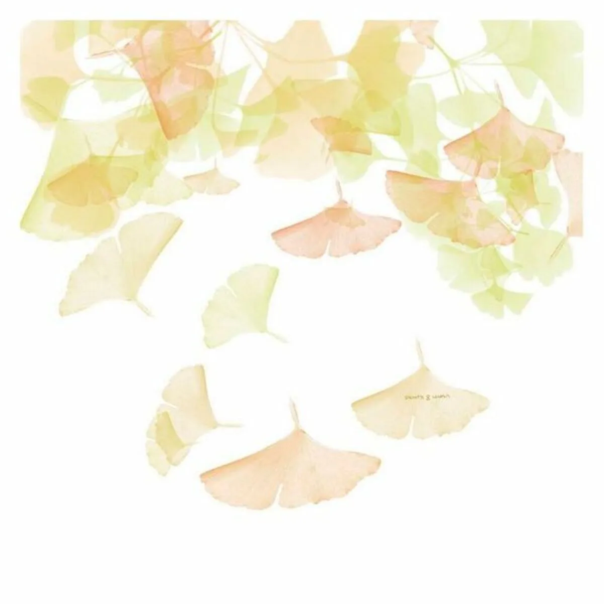 Housse de couette devota lomba rai s280269417. Diaytar Home : Créez l'atmosphère parfaite dans chaque pièce de votre maison.