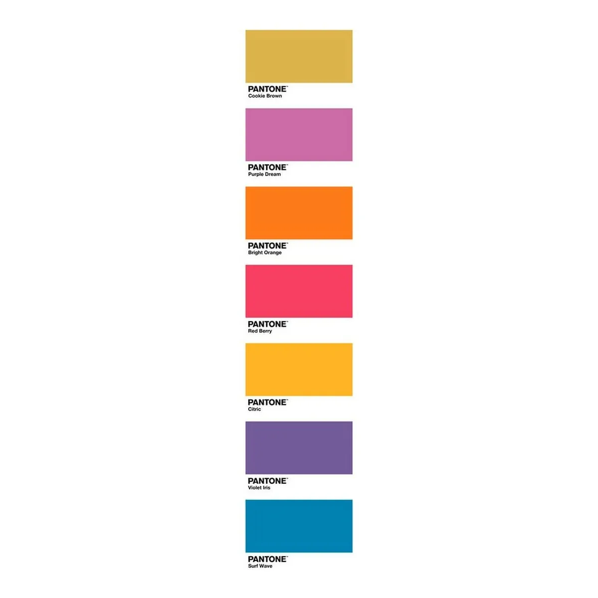 Housse de couette fun deck d pantone s280491023. Diaytar, c'est le manifeste d'un shopping plus intelligent, plus rapide, et résolument plus gratifiant.