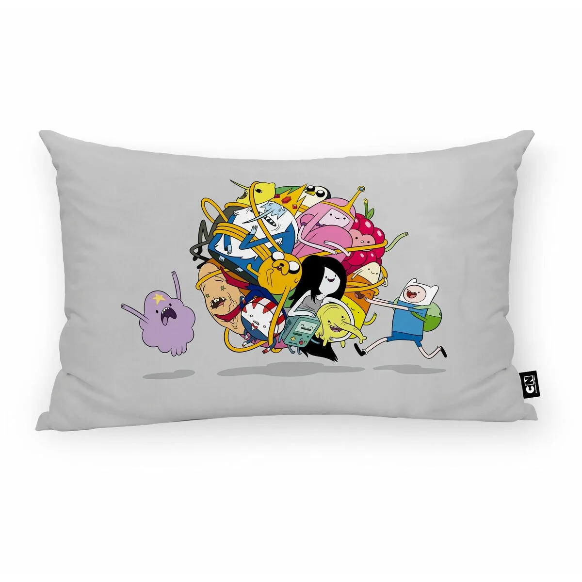Housse de coussin adventure time c multicouleur 30 x 50 cm s981557480. Avec Diaytar, profitez d'une sélection généraliste qui a du caractère et qui reflète les aspirations de notre époque