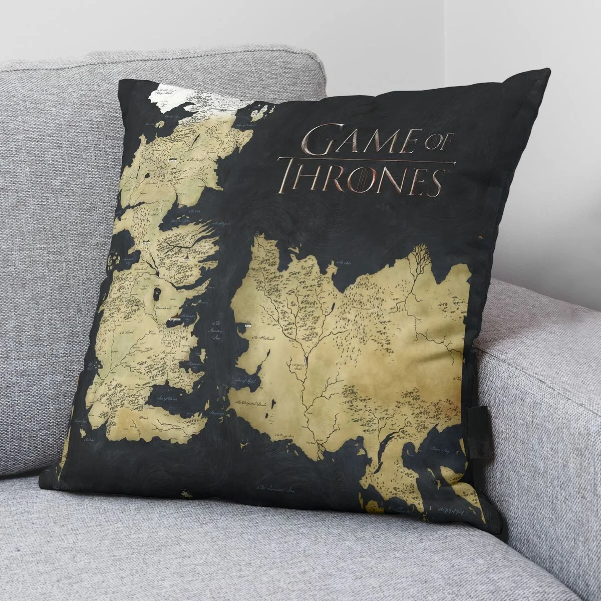 Housse de coussin game of thrones game of thrones b multicouleur 45 x 45 cm s980584425. Diaytar s'adapte à vos besoins avec une gamme complète et variée.