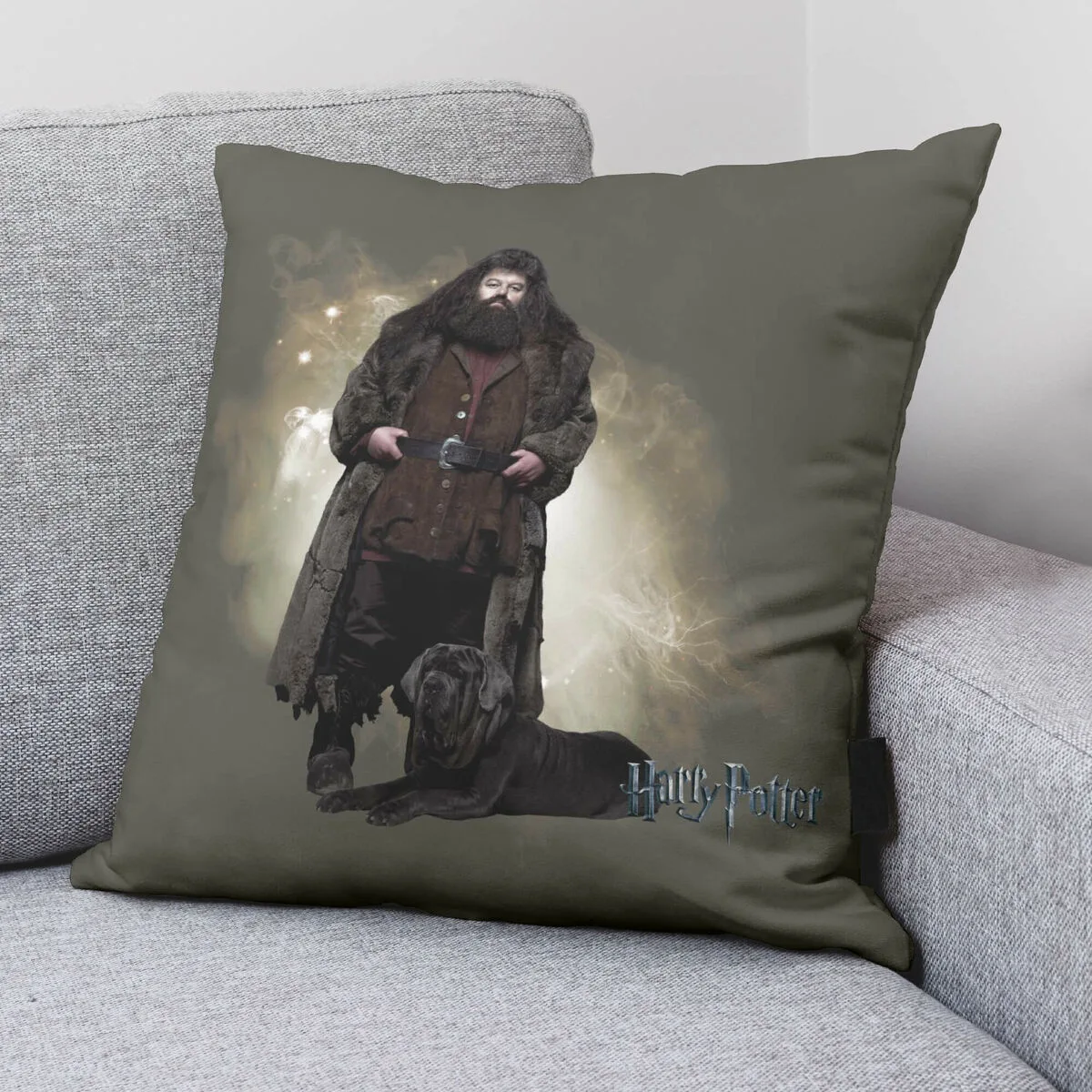 Housse de coussin harry potter hagrid multicouleur 50 x 50 cm s980076528. Re-découvrez le plaisir de shopper en ligne avec Diaytar et sa multitude de produits triés sur le volet pour vous