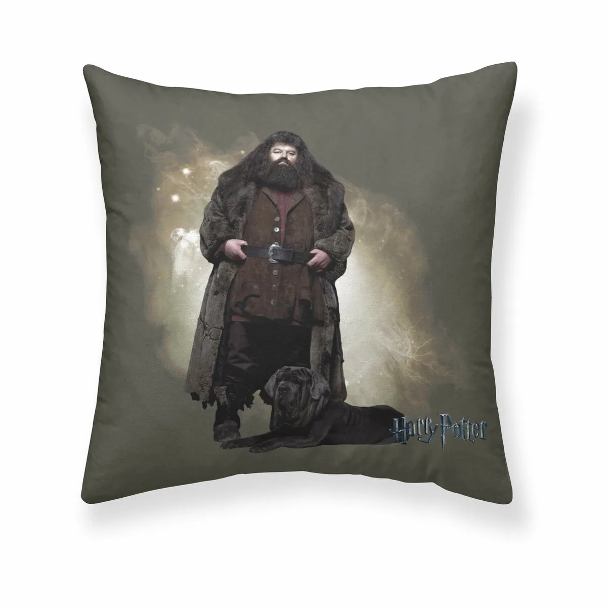 Housse de coussin harry potter hagrid multicouleur 50 x 50 cm s980076547. Diaytar s'engage à vous proposer une expérience shopping unique avec des produits généraux innovants, tendance et toujours à prix attractifs