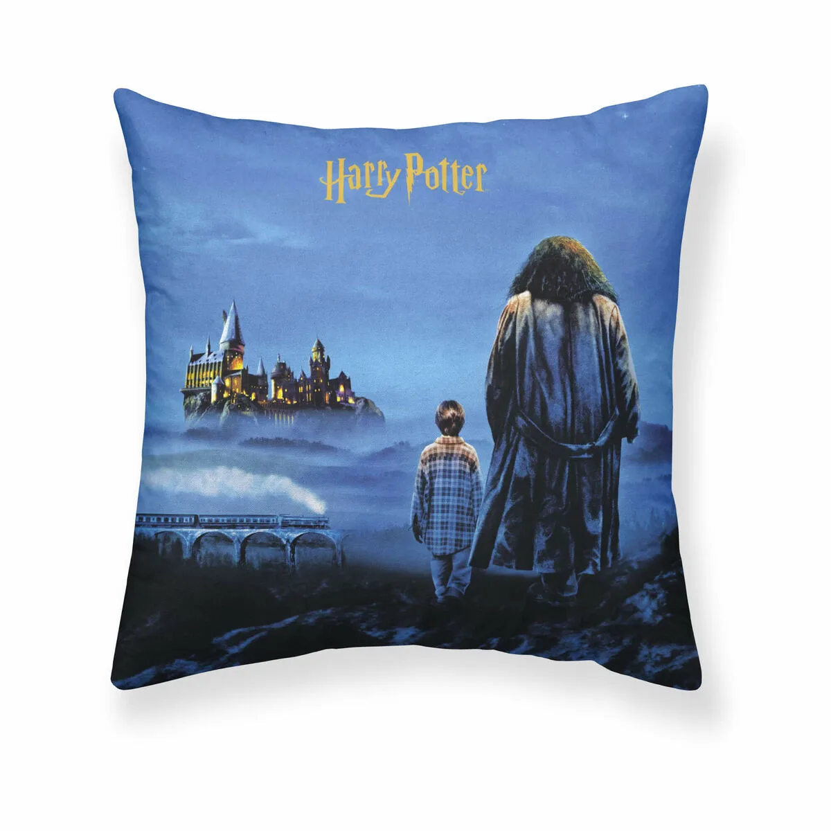 Housse de coussin harry potter philosopher s stone multicouleur 50 x 50 cm s980085167. Diaytar, c'est votre conseiller shopping personnel, toujours à l'affût des pépites qui correspondent à votre style de vie.