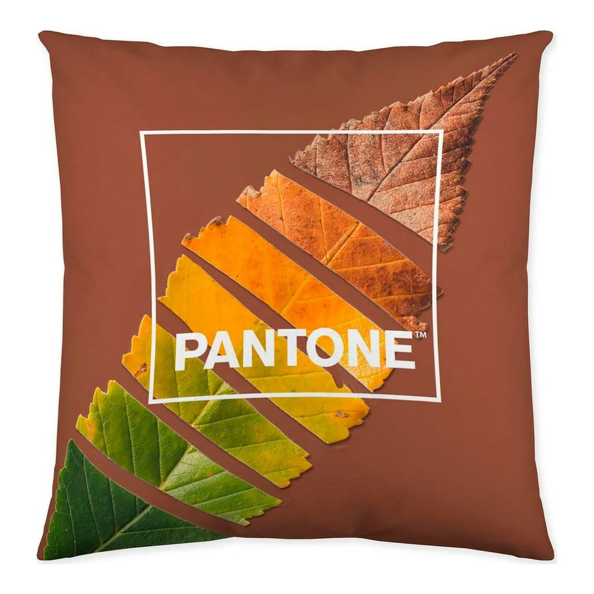 Housse de coussin leaf pantone localization b086jq6g5z reversible 50 x 50 cm s280528018. Bien plus qu'un simple site, Diaytar est une expérience de découverte permanente de produits utiles, beaux et novateurs