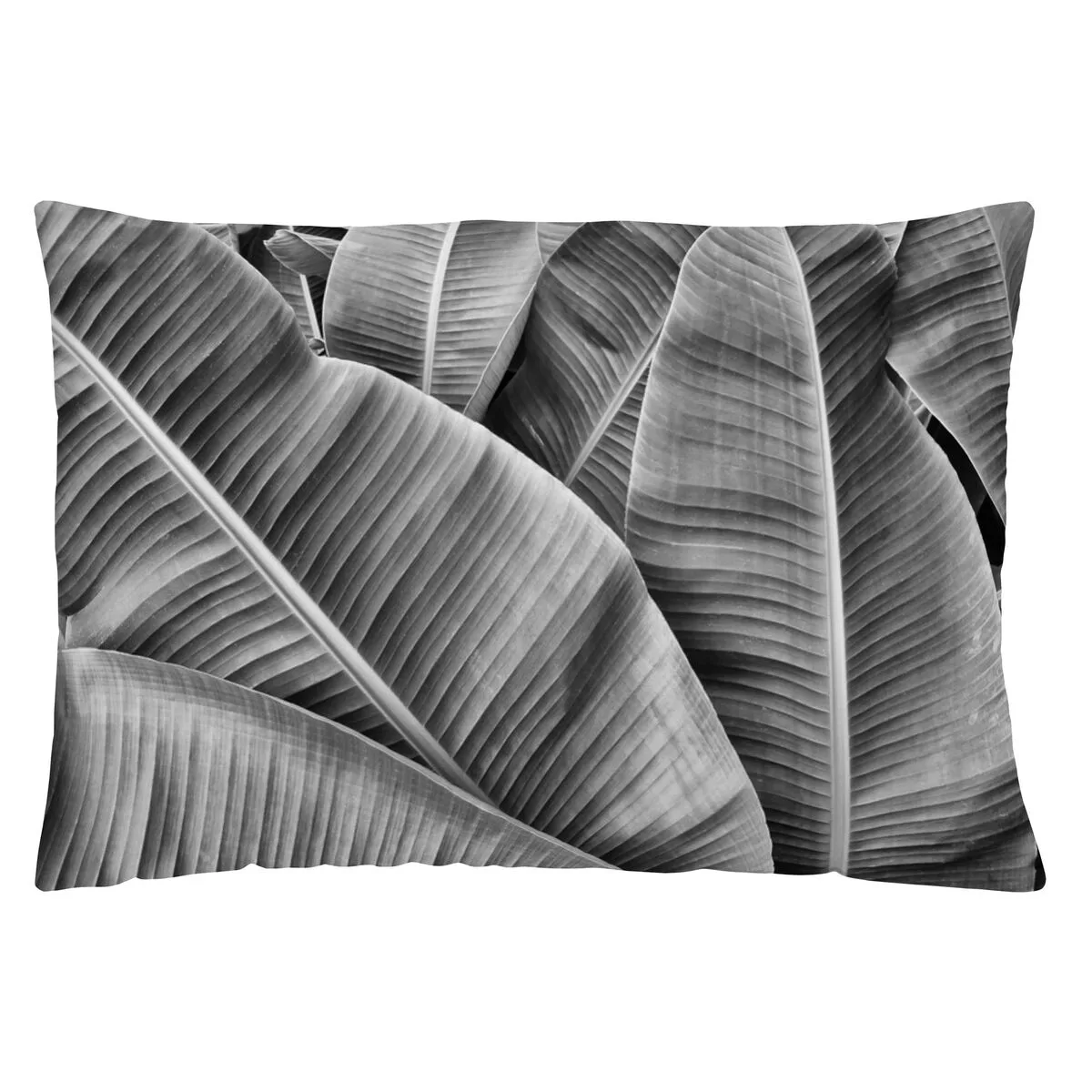 Housse de coussin naturals mone 1 piece 30 x 50 cm s280775269. Diaytar, c'est le testament vivant qu'on peut allier large choix et qualité exemplaire dans le e-commerce.