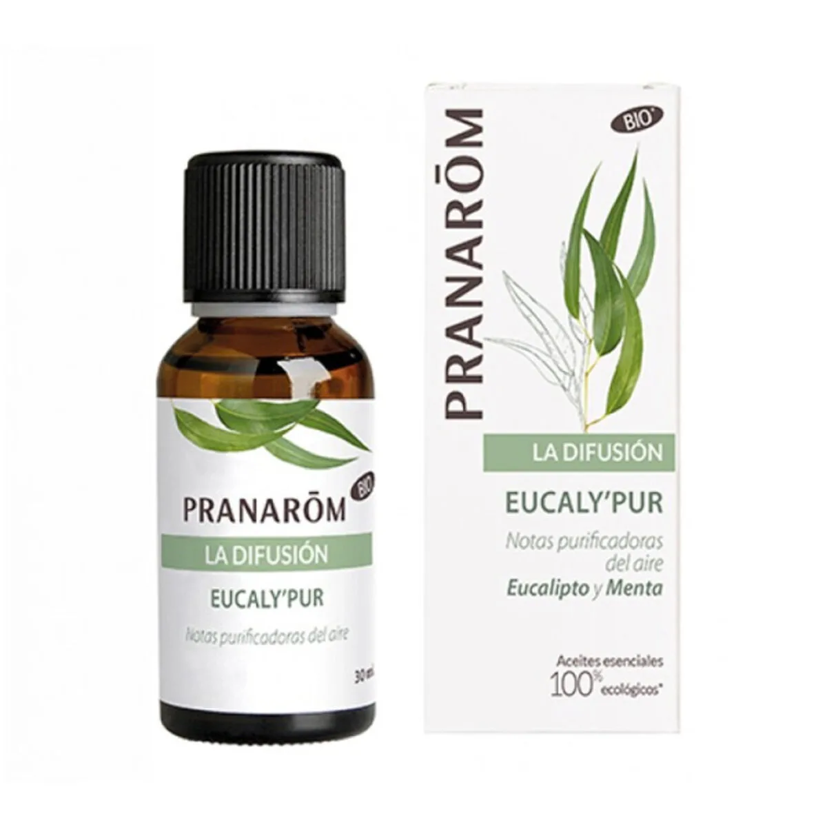 Huile essentielle eucaly pur pranarom 30 ml s056407258. Notre équipe Diaytar parcourt le globe pour vous dénicher les produits généraux et électroniques les plus prometteurs